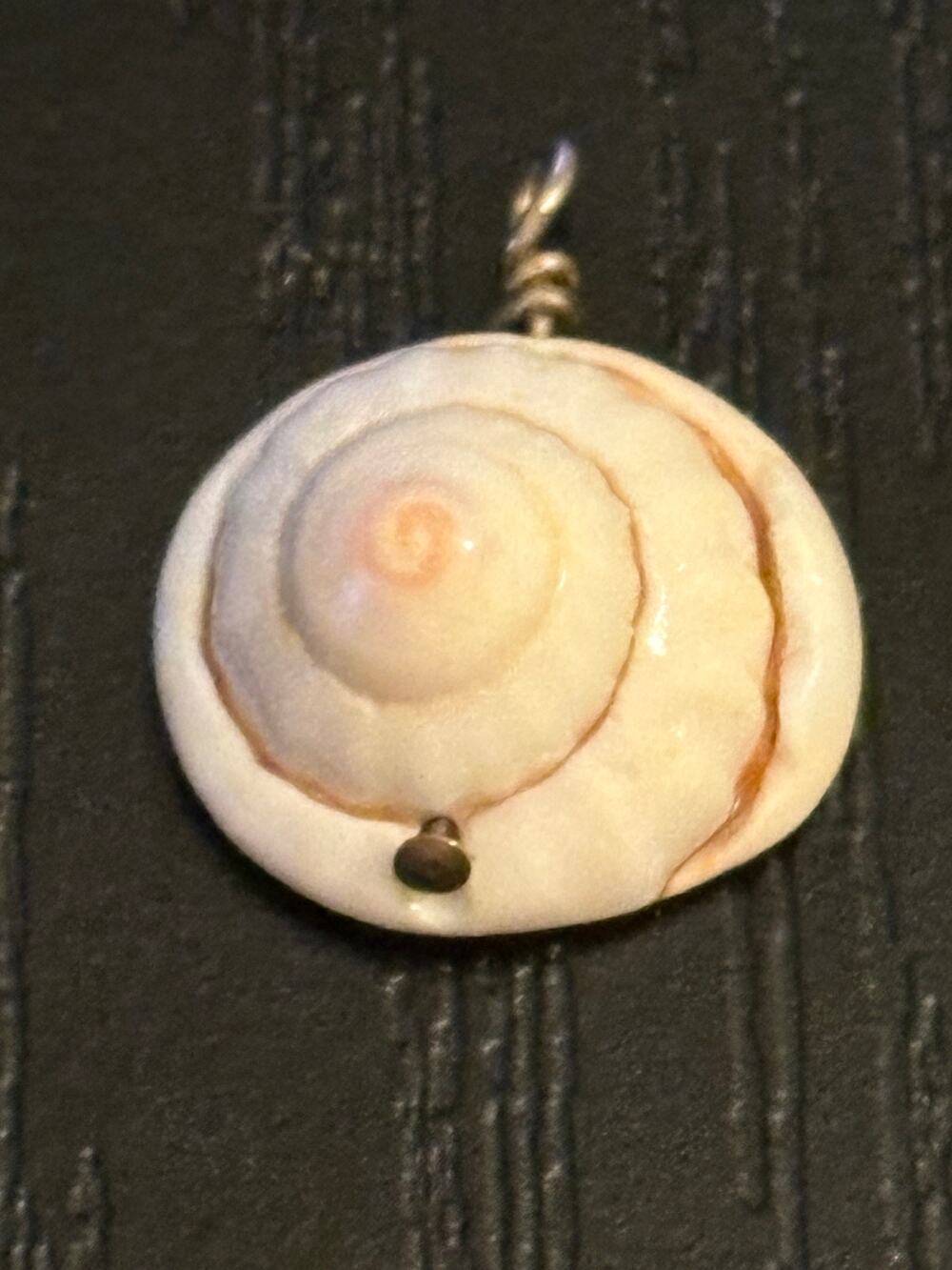 Natural Shiva Shell Spiral Pendant Wire Wrapped